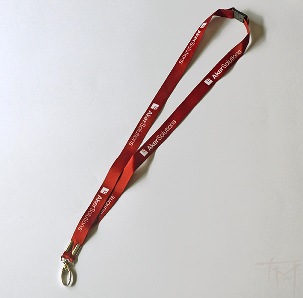 Lanyard